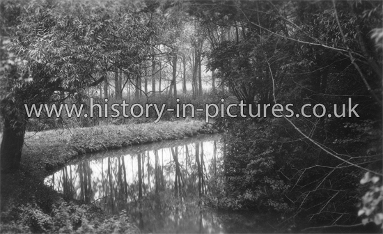 The River, Widford, Essex. c.1920's